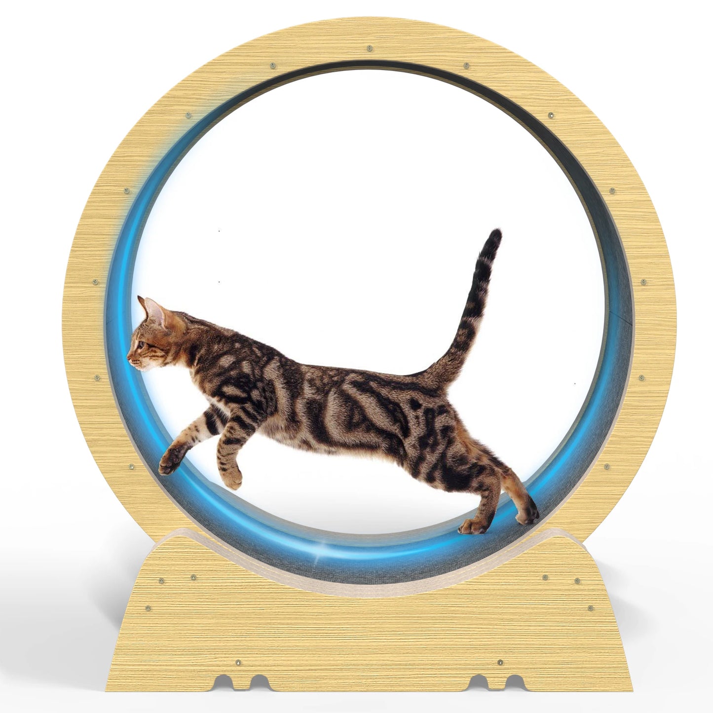 Pawsoul 35" Silent Cat Exercise Wheel β Safe Indoor Treadmill for Active Cats