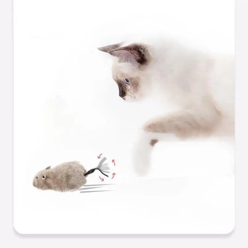 πΎ Pawsoul Wind-Up Plush Mouse Toy β Realistic Running Rat for Cats & Small Dogs (No Battery Needed)