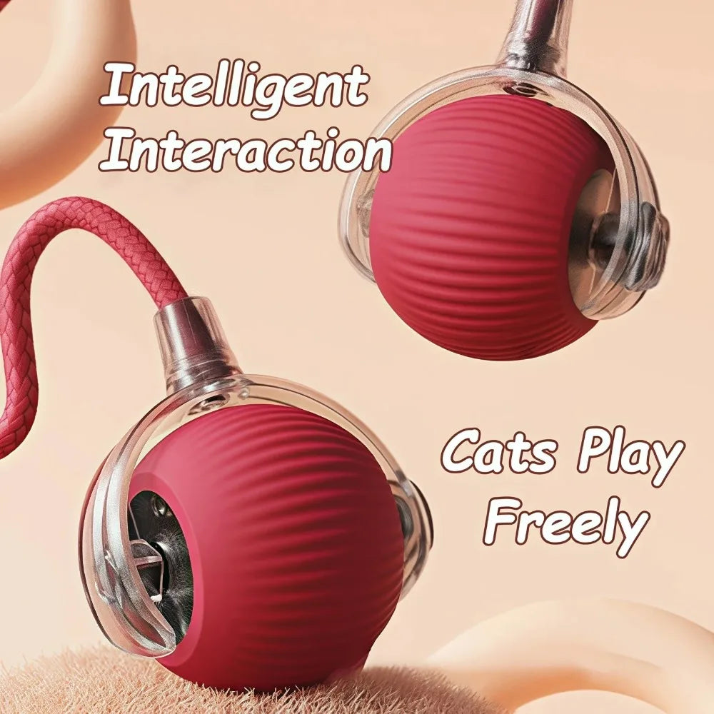Pawsoul Smart Interactive Cat Ball Toy – Automatic Rolling Rechargeable Pet Toy