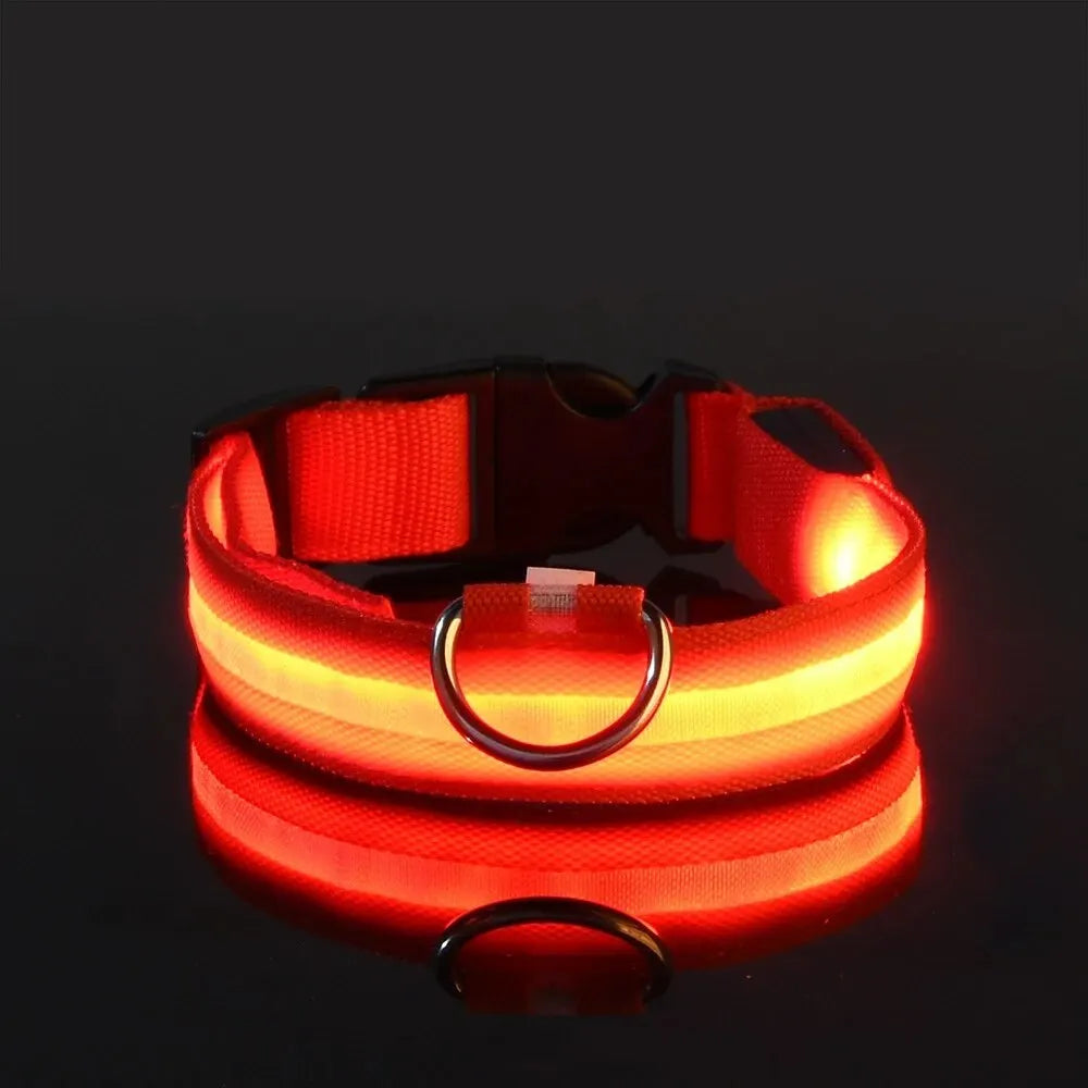 Pawsoul™ LED Safety Dog Collar – Keep your pet visible and safe during night walks!