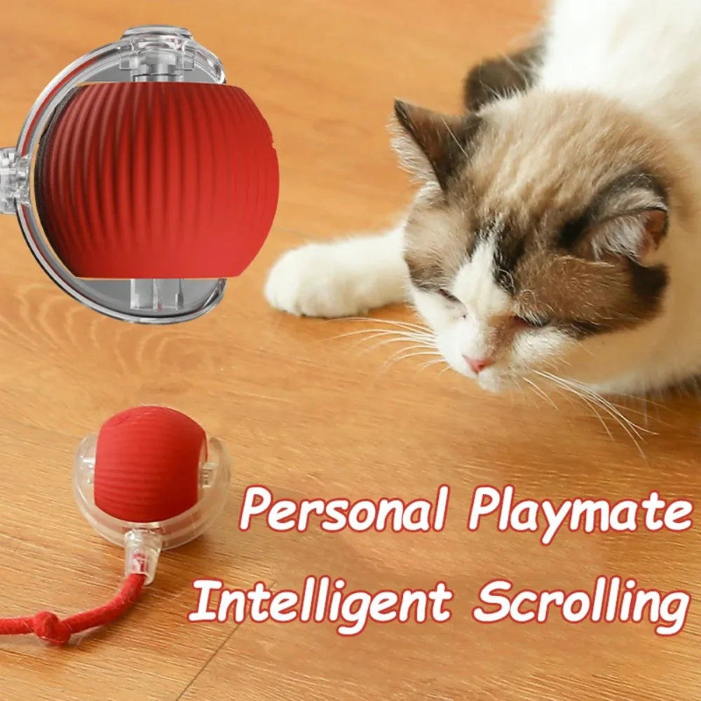 Pawsoul Smart Interactive Cat Ball Toy – Automatic Rolling Rechargeable Pet Toy