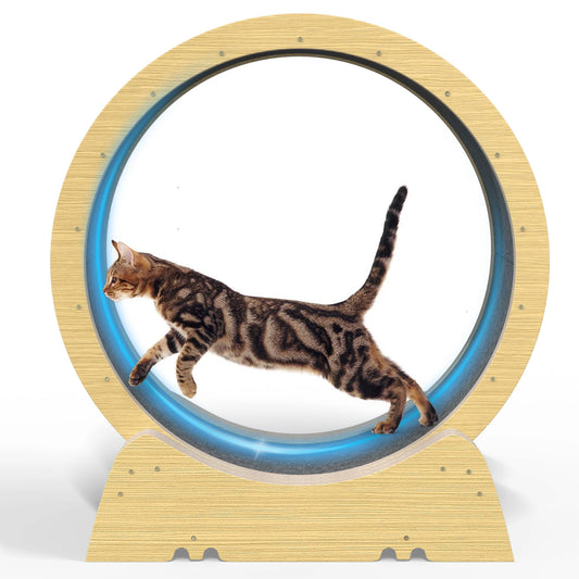 Pawsoul 35" Silent Cat Exercise Wheel – Safe Indoor Treadmill for Active Cats