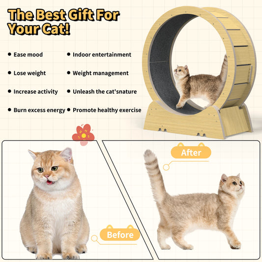 Pawsoul 35" Silent Cat Exercise Wheel – Safe Indoor Treadmill for Active Cats