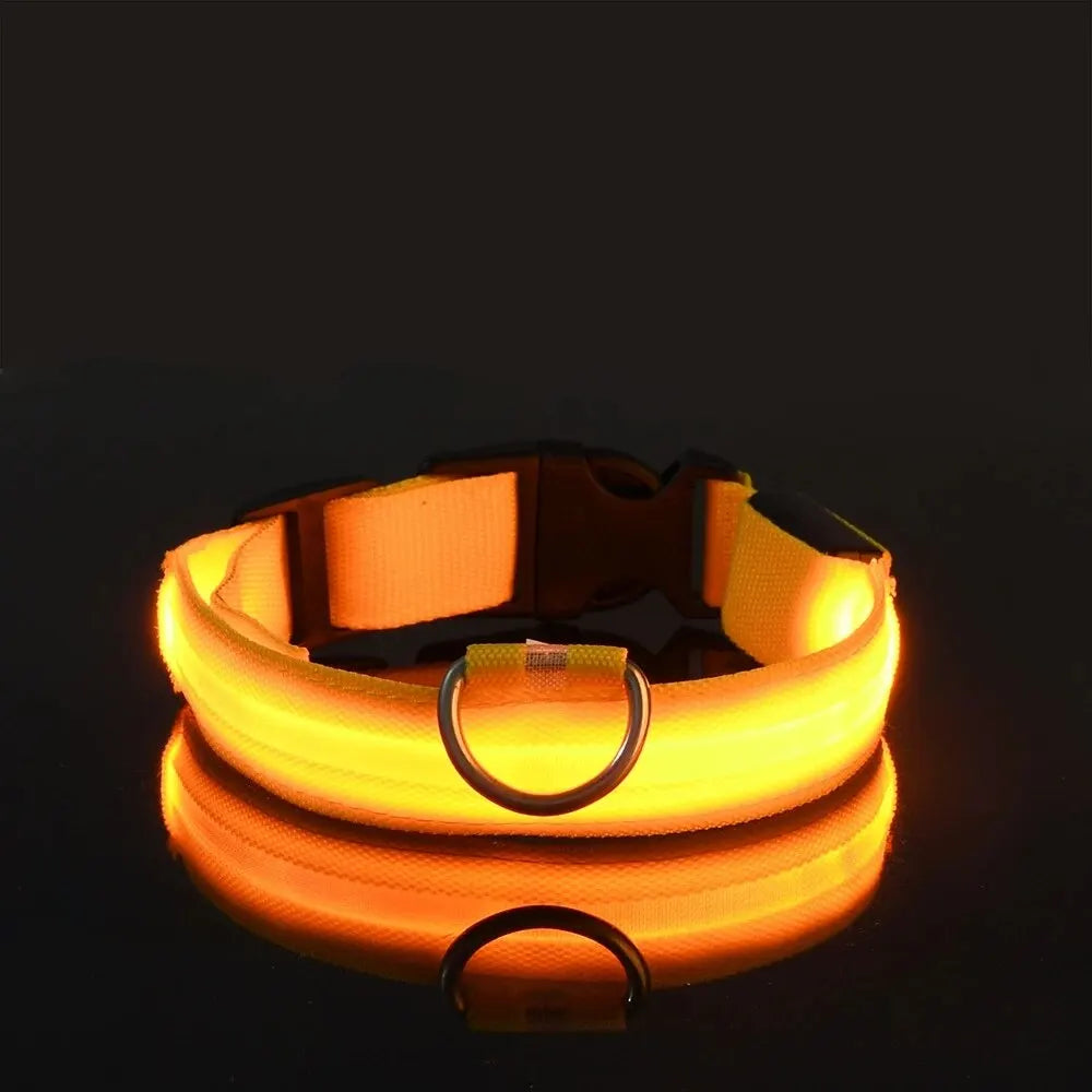 Pawsoul™ LED Safety Dog Collar – Keep your pet visible and safe during night walks!