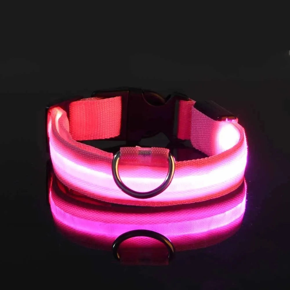 Pawsoul™ LED Safety Dog Collar – Keep your pet visible and safe during night walks!