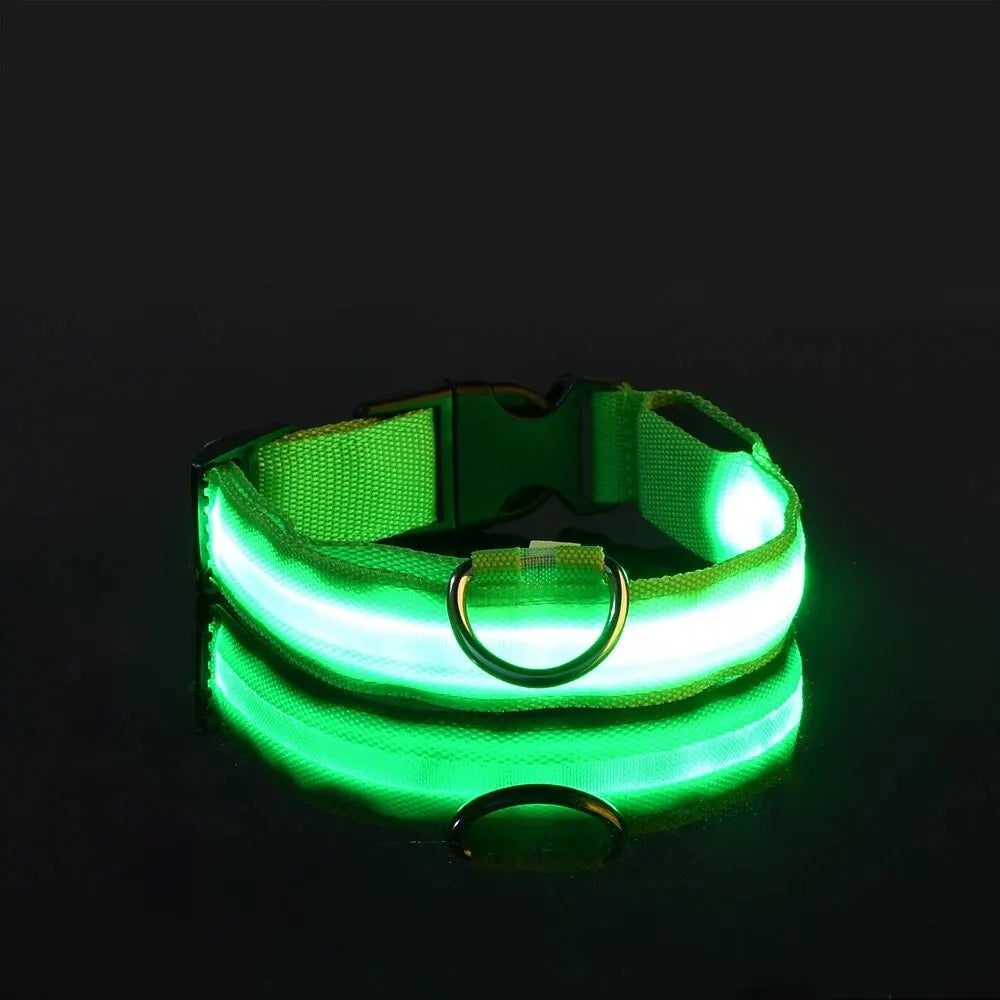 Pawsoul™ LED Safety Dog Collar – Keep your pet visible and safe during night walks!