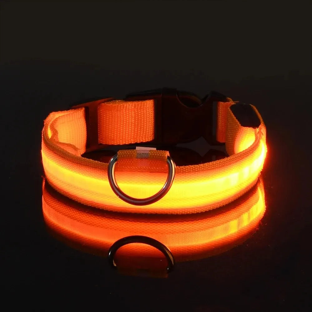 Pawsoul™ LED Safety Dog Collar – Keep your pet visible and safe during night walks!