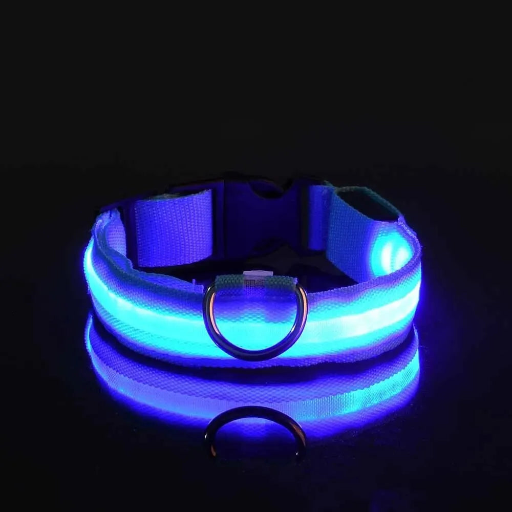 Pawsoul™ LED Safety Dog Collar – Keep your pet visible and safe during night walks!