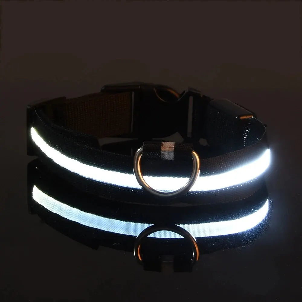 Pawsoul™ LED Safety Dog Collar – Keep your pet visible and safe during night walks!