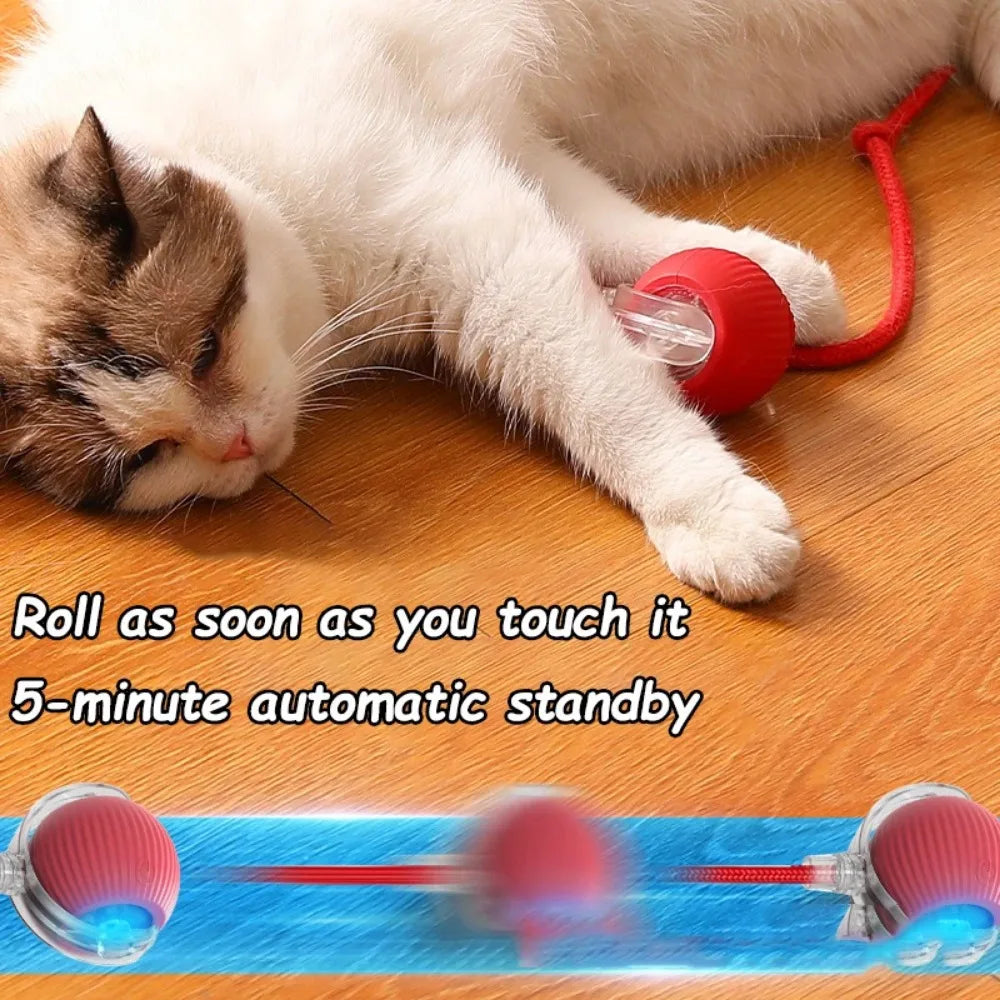 Pawsoul Smart Interactive Cat Ball Toy – Automatic Rolling Rechargeable Pet Toy