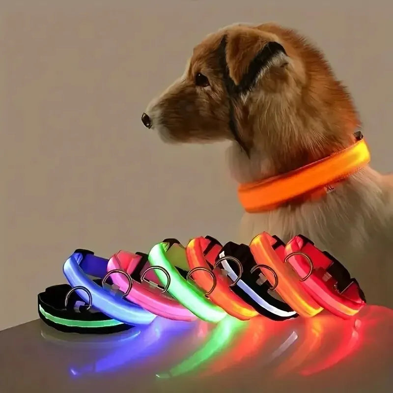 Pawsoul™ LED Safety Dog Collar – Keep your pet visible and safe during night walks!