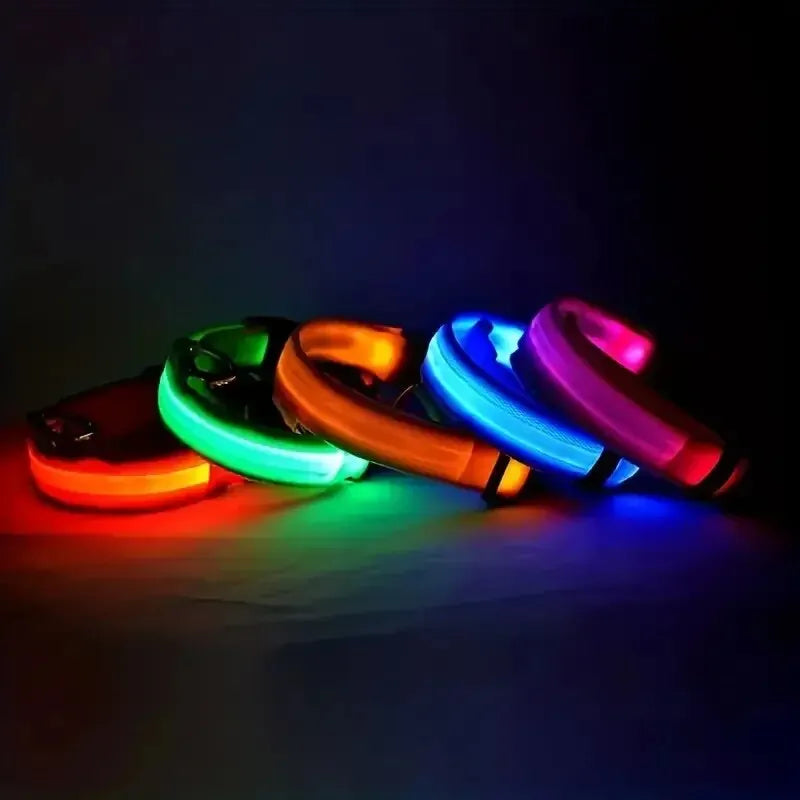 Pawsoul™ LED Safety Dog Collar – Keep your pet visible and safe during night walks!
