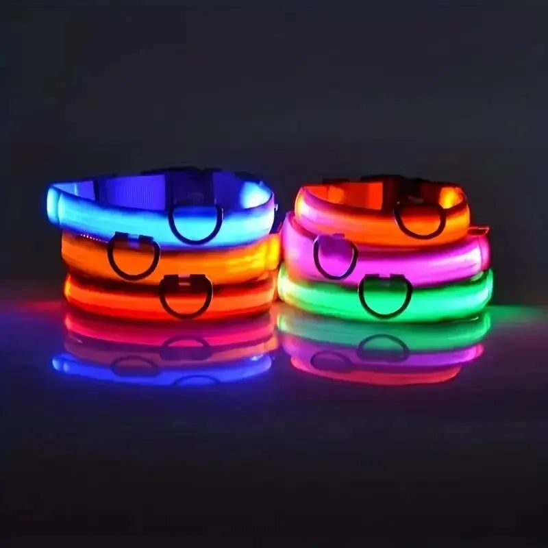 Pawsoul™ LED Safety Dog Collar – Keep your pet visible and safe during night walks!